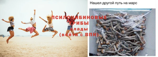 ПСИЛОЦИБИНОВЫЕ ГРИБЫ Армянск