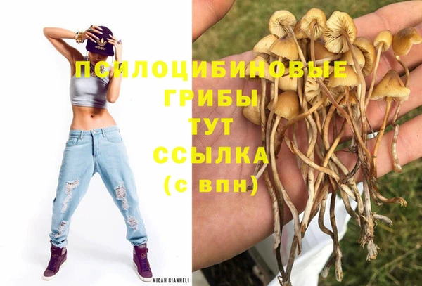 винт Арсеньев