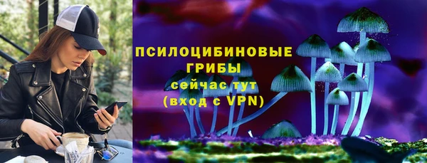 спиды Каменногорск
