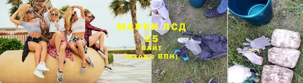 индика Баксан